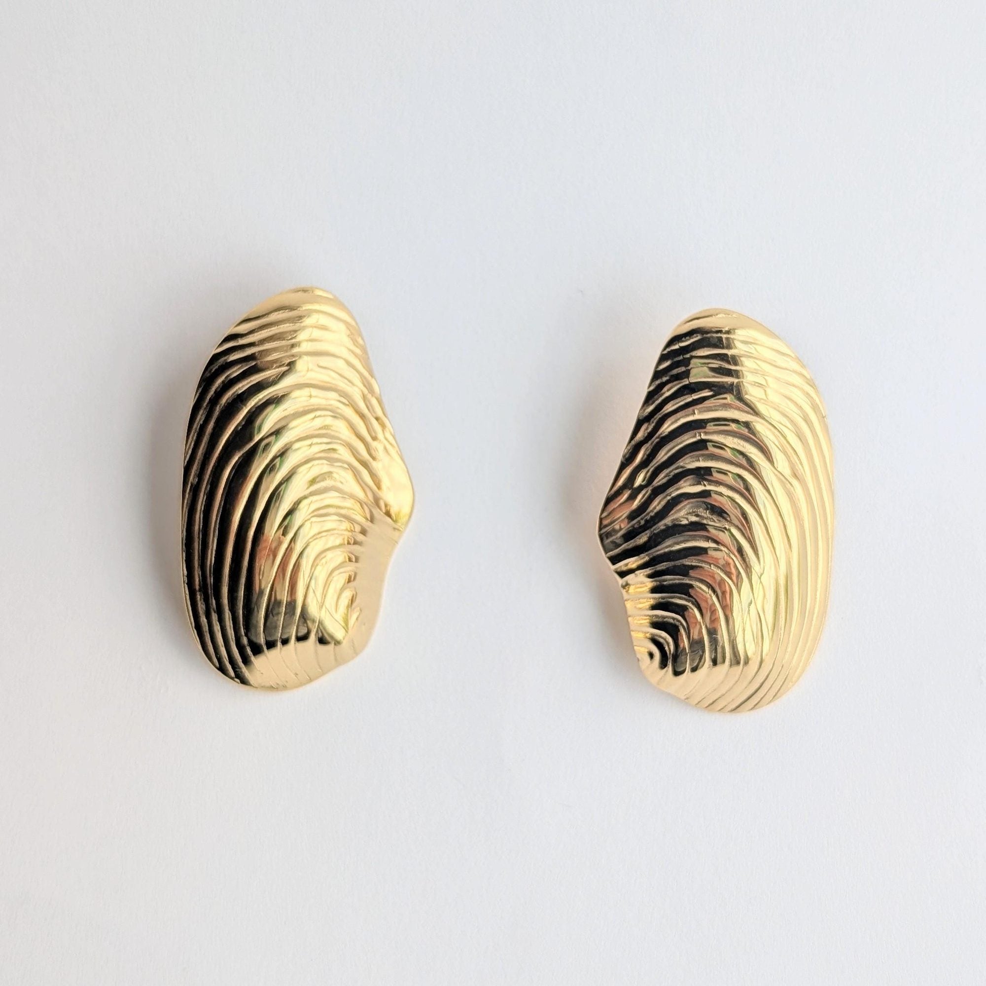 Large Abstract Shell Stud Earrings