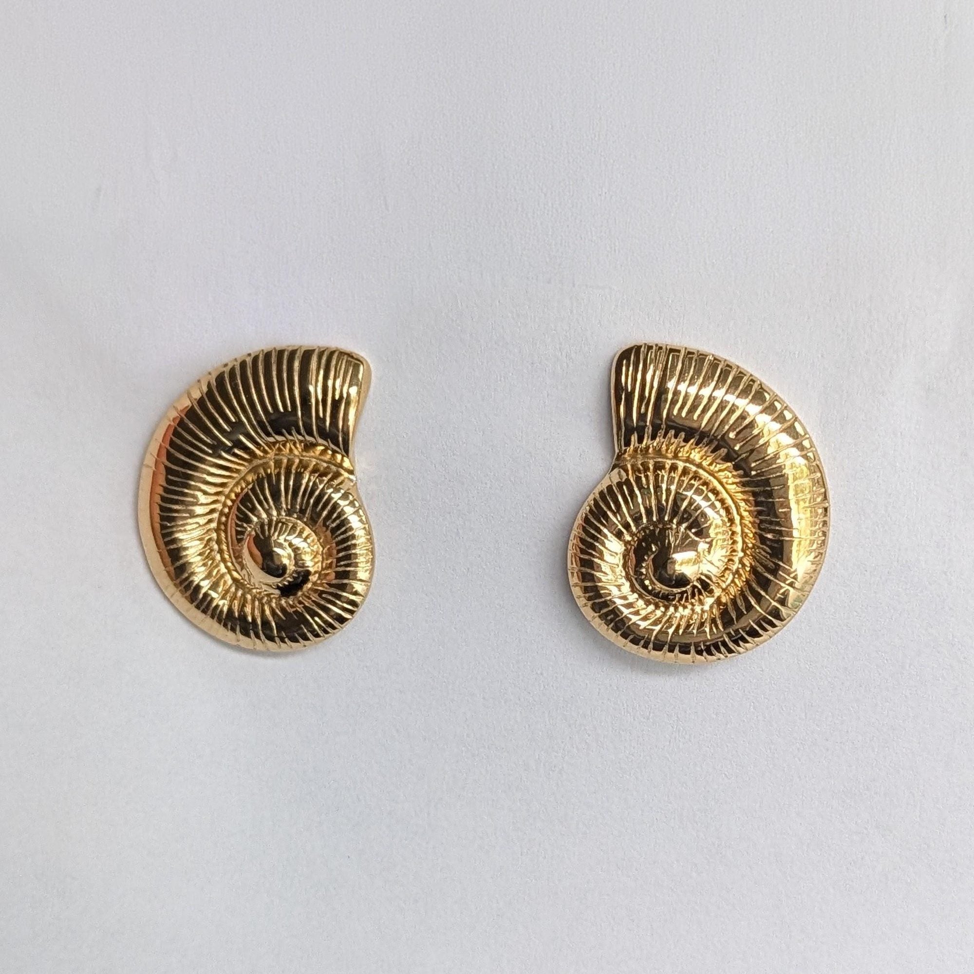 Gold Nautilus Shell Stud Earrings