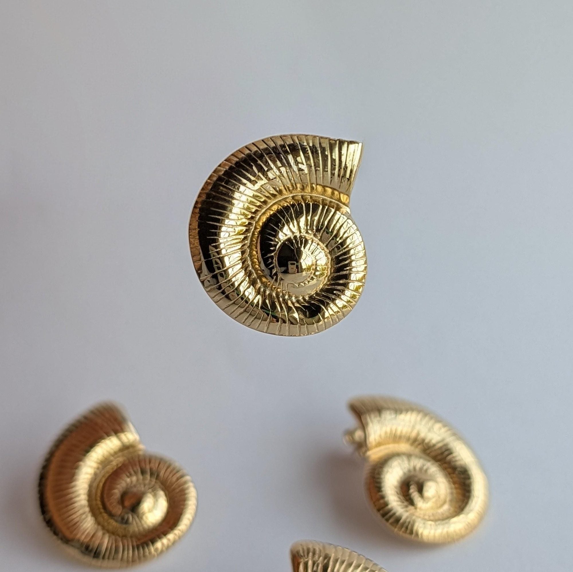 Gold Nautilus Shell Stud Earrings