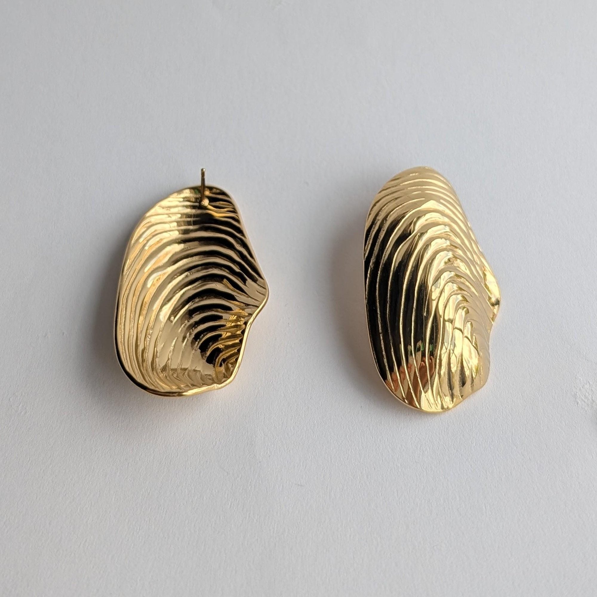 Large Abstract Shell Stud Earrings