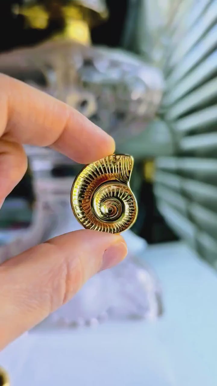 Gold Nautilus Shell Stud Earrings